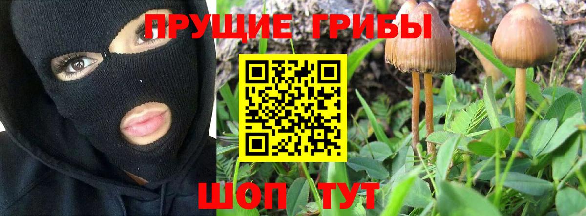 Галлюциногенные грибы прущие грибы  Галлюциногенные грибы MAGIC MUSHROOMS  Вход с VPN  Берёзовский 